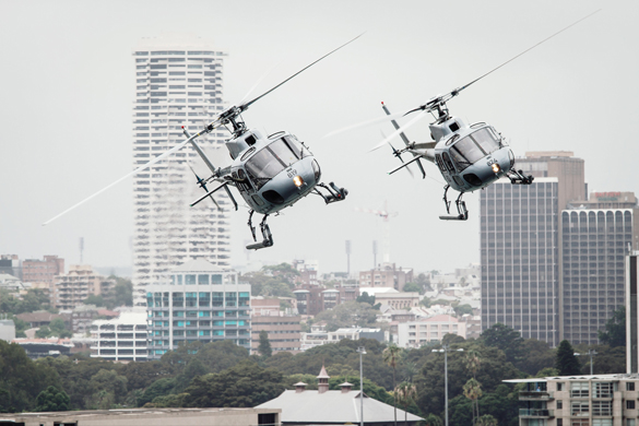 两个执法直升机。