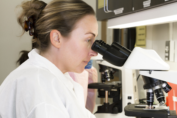医学实验室技术员学生透过显微镜观察。