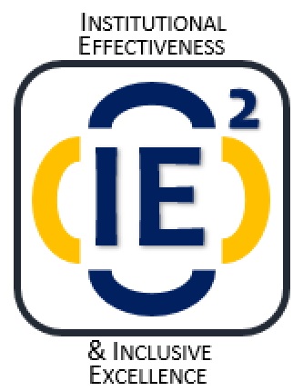 IE2标志